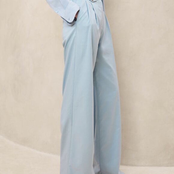 Banana Republic Carmel Pleated Wide Leg Pant - Blue - 2/4 Petite - Picture 2 of 4